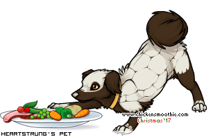 Dressed pet