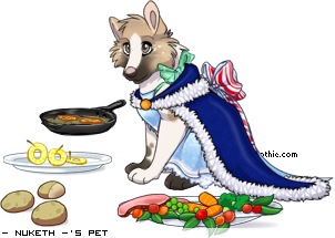 Dressed pet