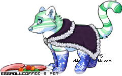 Dressed pet