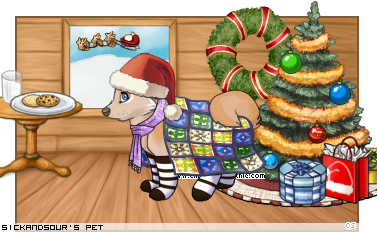 Dressed pet