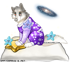 Dressed pet