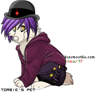 Dressed pet