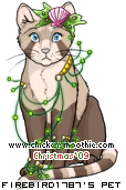 Dressed pet