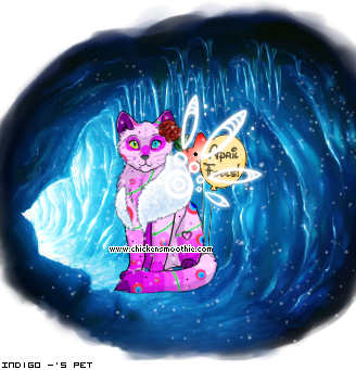 Dressed pet