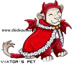 Dressed pet