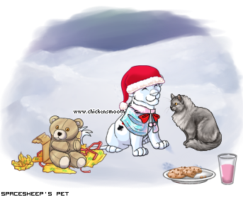 Dressed pet