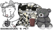 Dressed pet