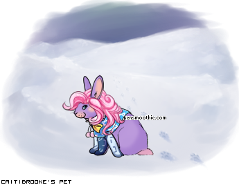 Dressed pet