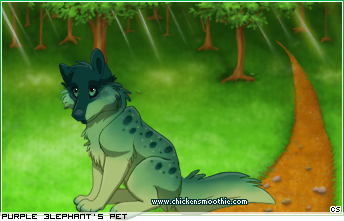 Dressed pet