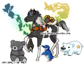 Dressed pet