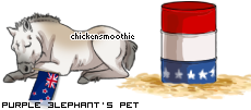 Dressed pet