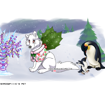 Dressed pet
