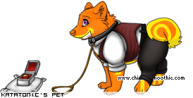 Dressed pet