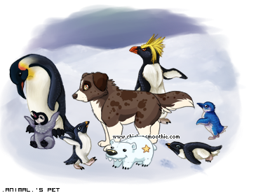 Dressed pet