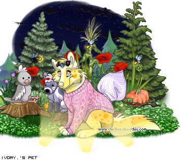 Dressed pet