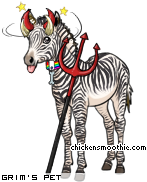 Dressed pet