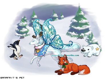 Dressed pet