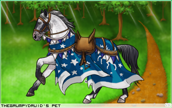 Dressed pet
