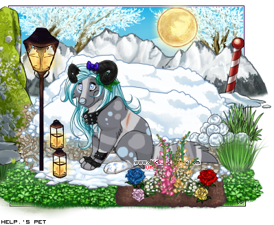 Dressed pet
