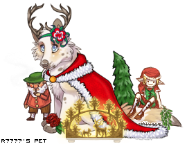 Dressed pet