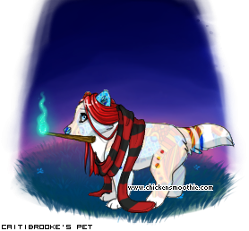 Dressed pet