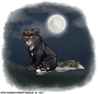Dressed pet