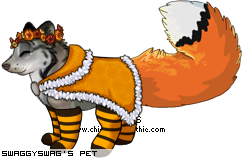 Dressed pet