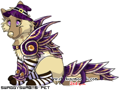 Dressed pet
