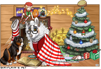Dressed pet
