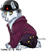 Dressed pet