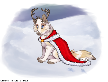 Dressed pet