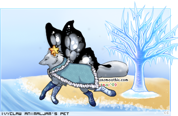 Dressed pet