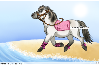 Dressed pet