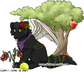 Dressed pet