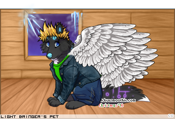 Dressed pet