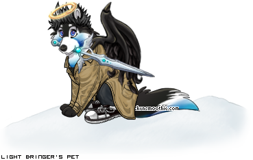 Dressed pet