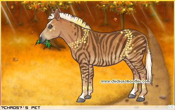 Dressed pet