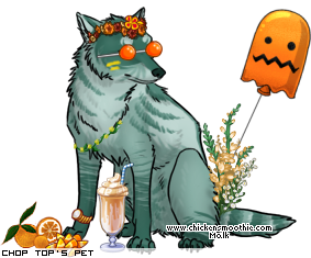 Dressed pet
