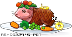 Dressed pet