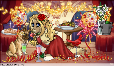 Dressed pet