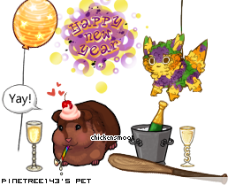 Dressed pet