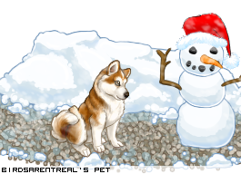 Dressed pet