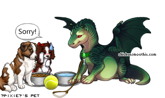 Dressed pet