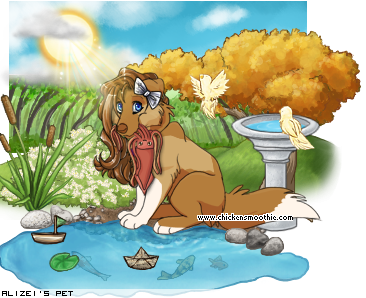 Dressed pet