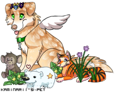 Dressed pet