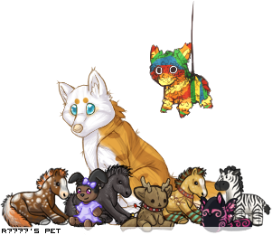 Dressed pet
