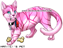 Dressed pet