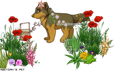 Dressed pet