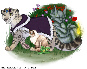 Dressed pet