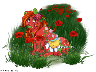 Dressed pet